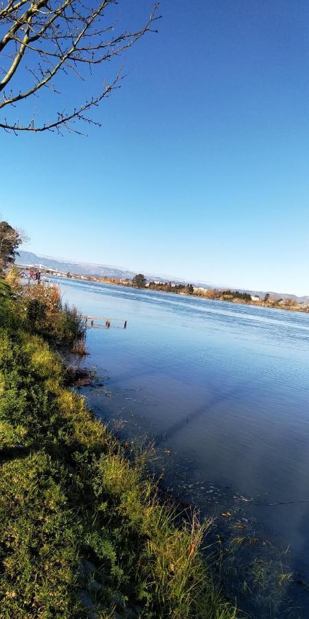 Apartamento Gelum Delta Del Ebro Sant Jaume d'Enveja Zewnętrze zdjęcie